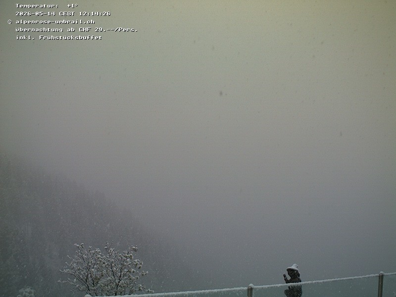 Archiv Foto Webcam Val Müstair / Umbrailpass