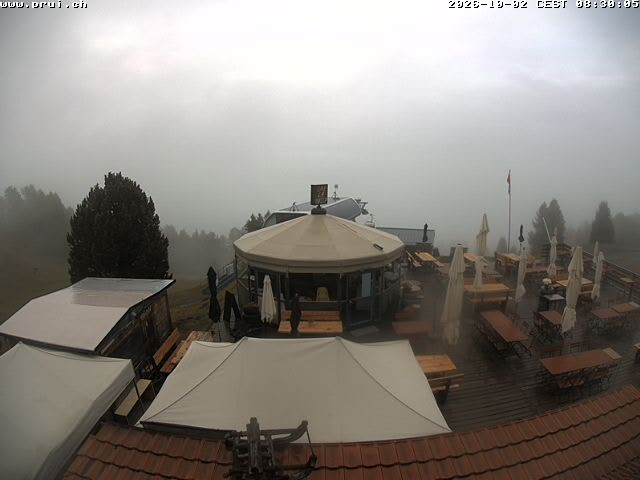 Archiv Foto Webcam Scuol: Bergstation Prui, Ftan