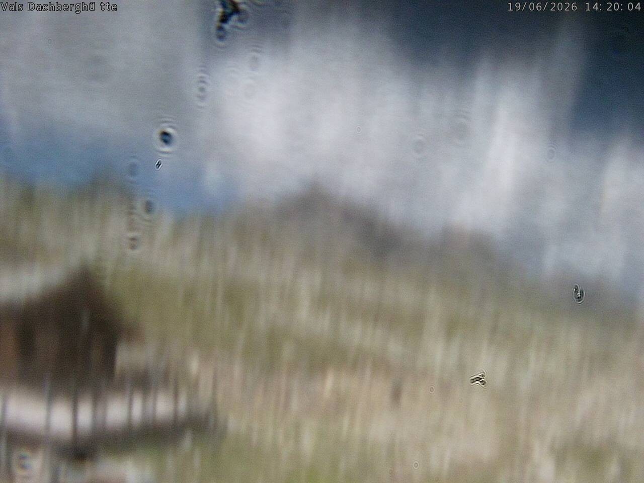 Archiv Foto Webcam Dachberghütte (2.500 m)