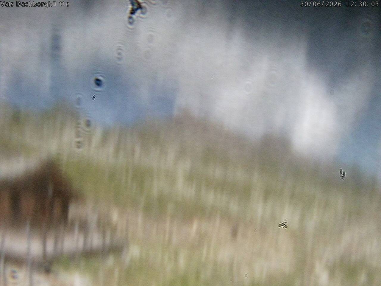 Archiv Foto Webcam Dachberghütte (2.500 m)
