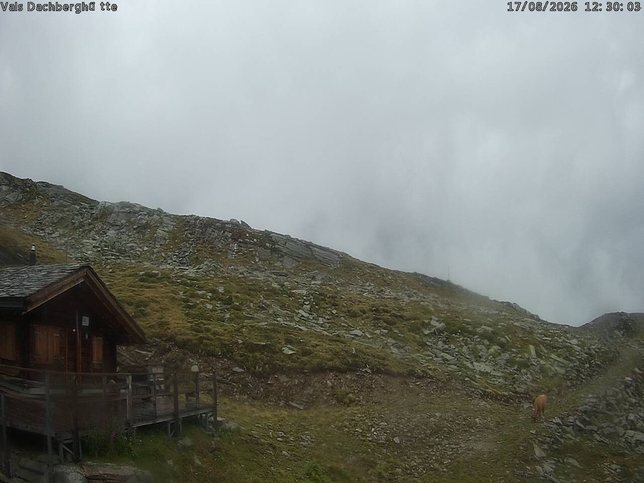 Archiv Foto Webcam Dachberghütte (2.500 m)
