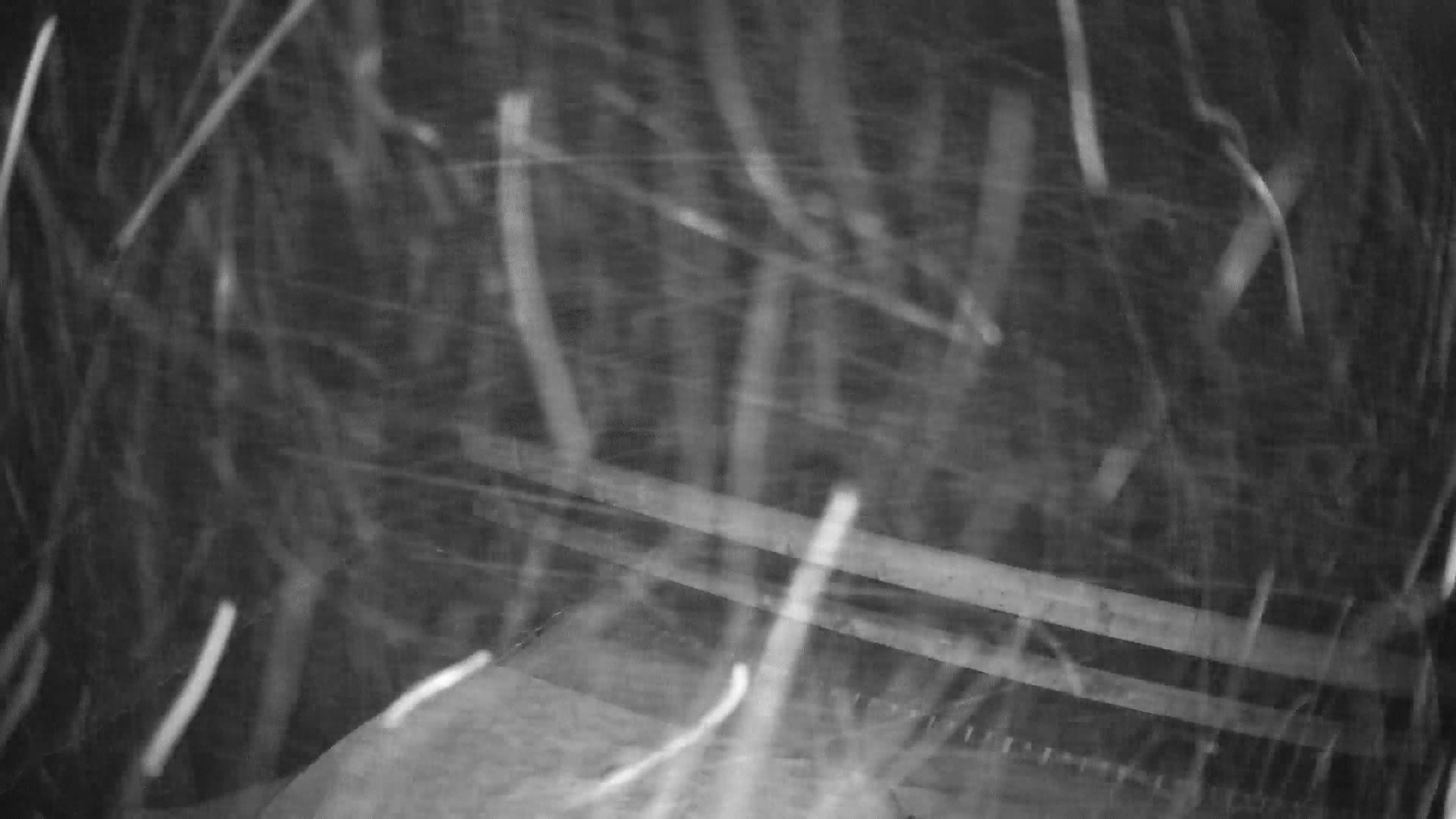 Archiv Foto Webcam Truebsee