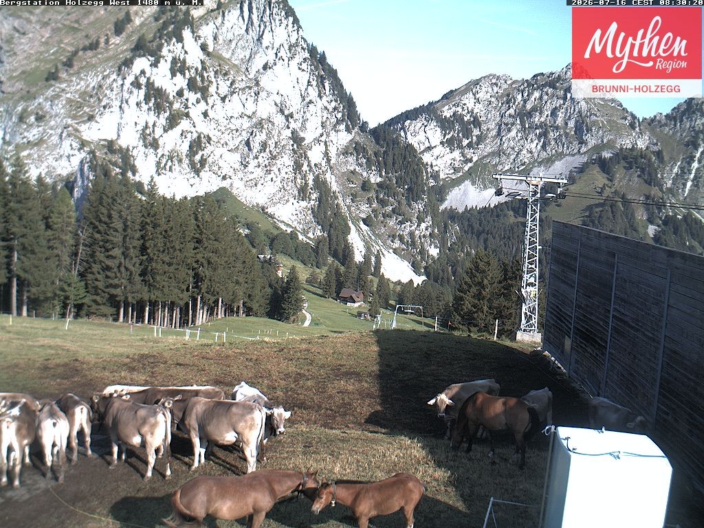 Archiv Foto Webcam Brunni - Holzegg