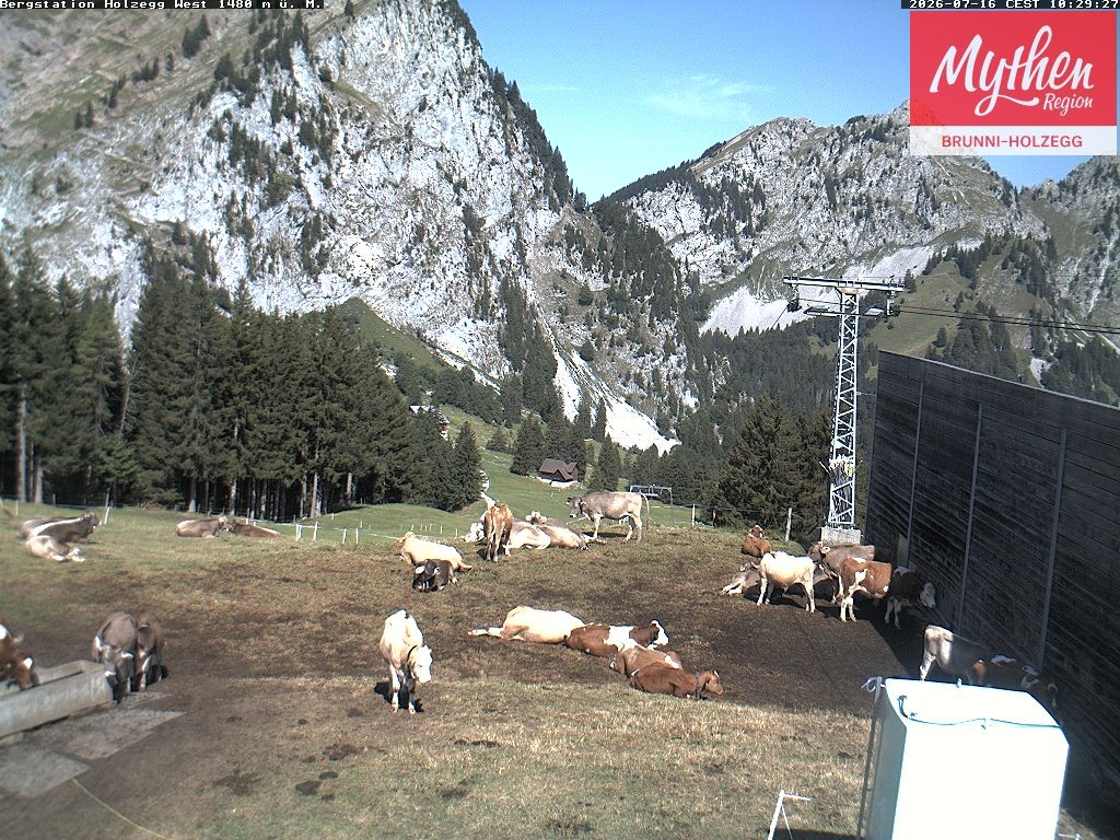 Archiv Foto Webcam Brunni - Holzegg
