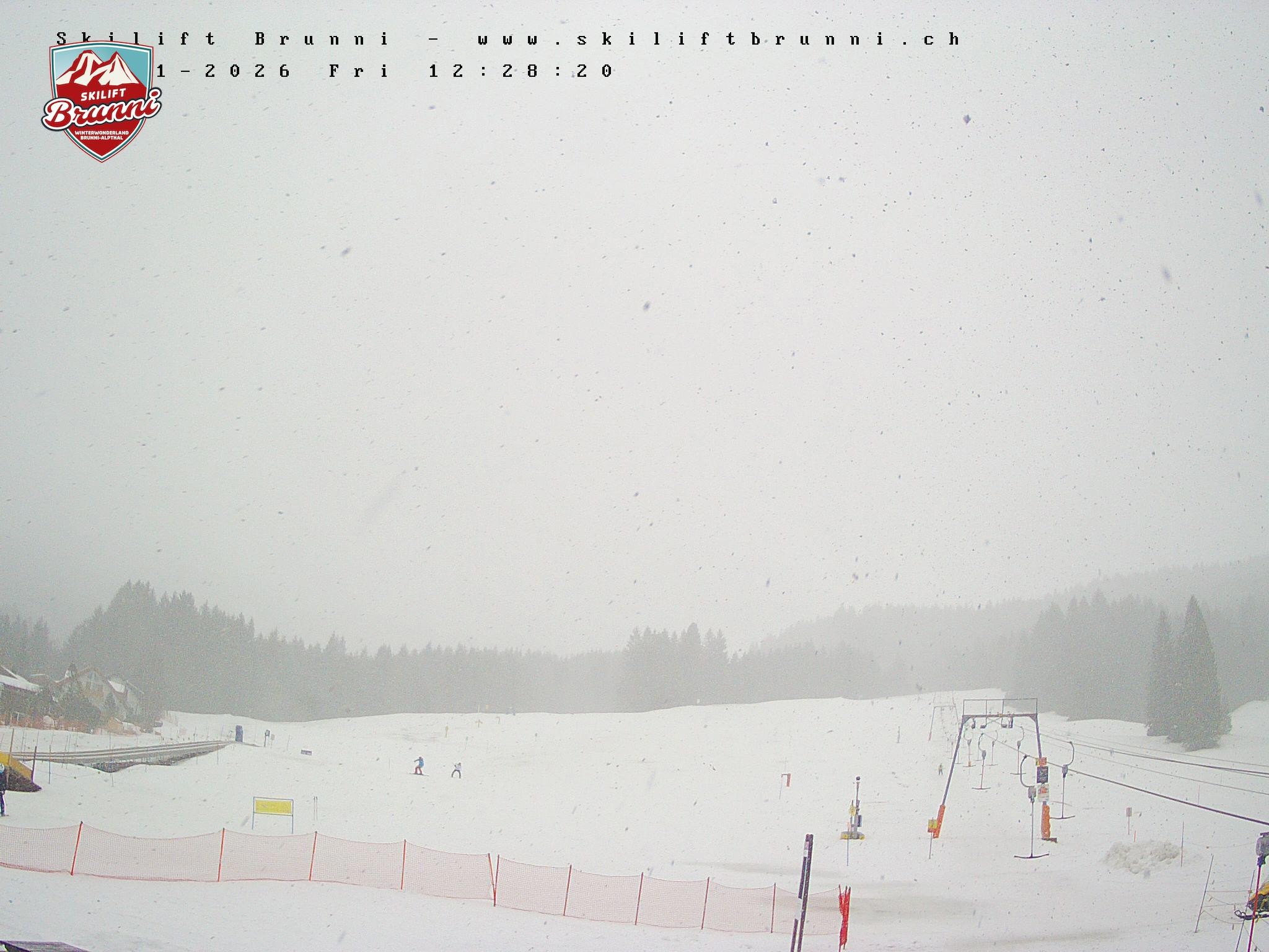 Archived image Webcam Brunni (1.100 m)