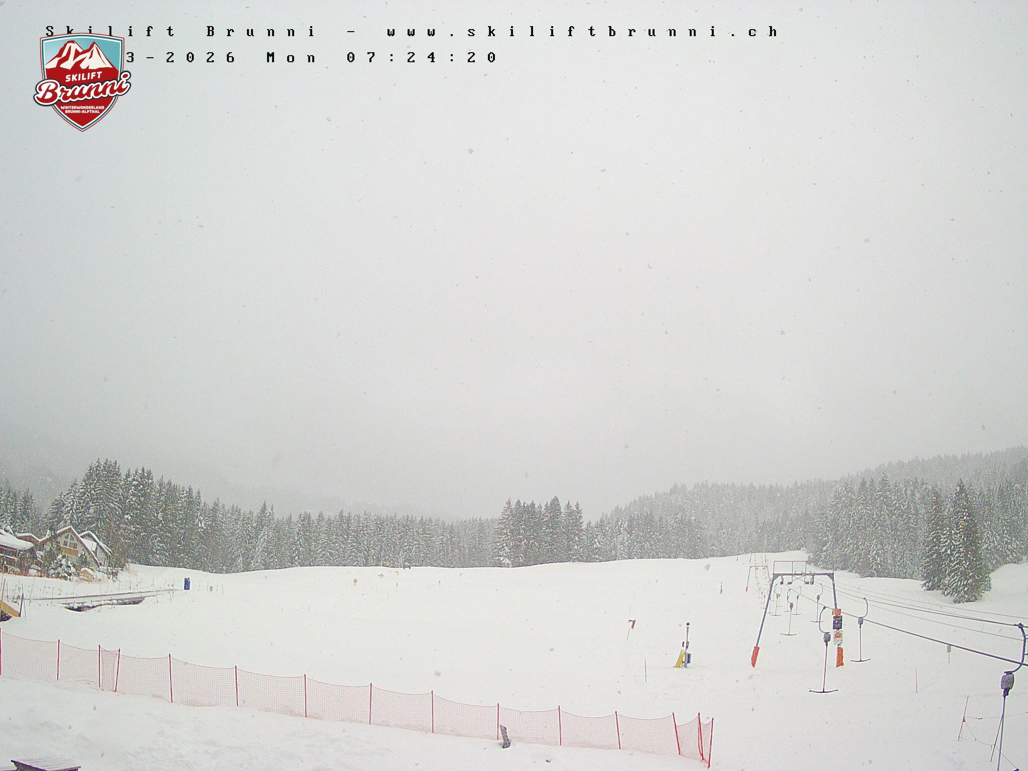 Archived image Webcam Brunni (1.100 m)