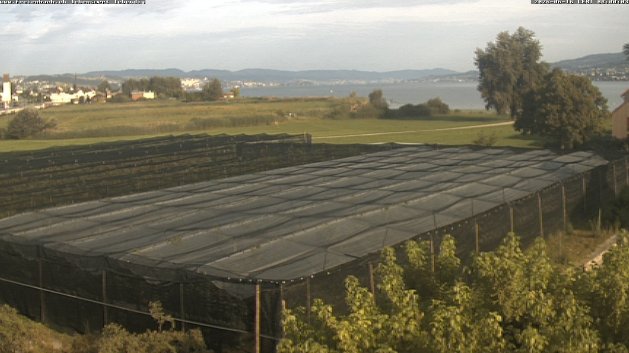 Archiv Foto Webcam Stockhütte (1.279 m)