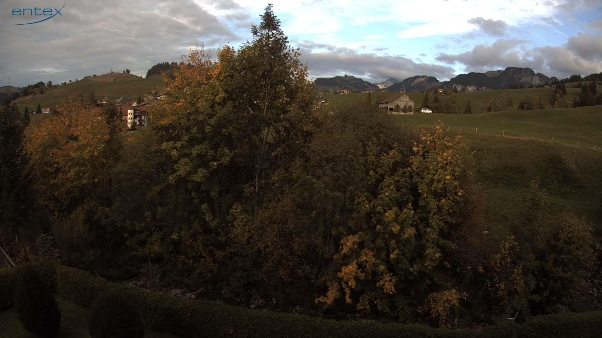 Archiv Foto Webcam Stockhütte (1.279 m)
