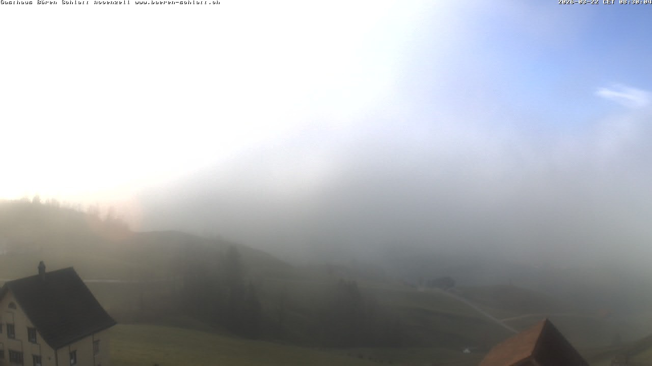 Archived image Webcam Appenzell in Switzerland