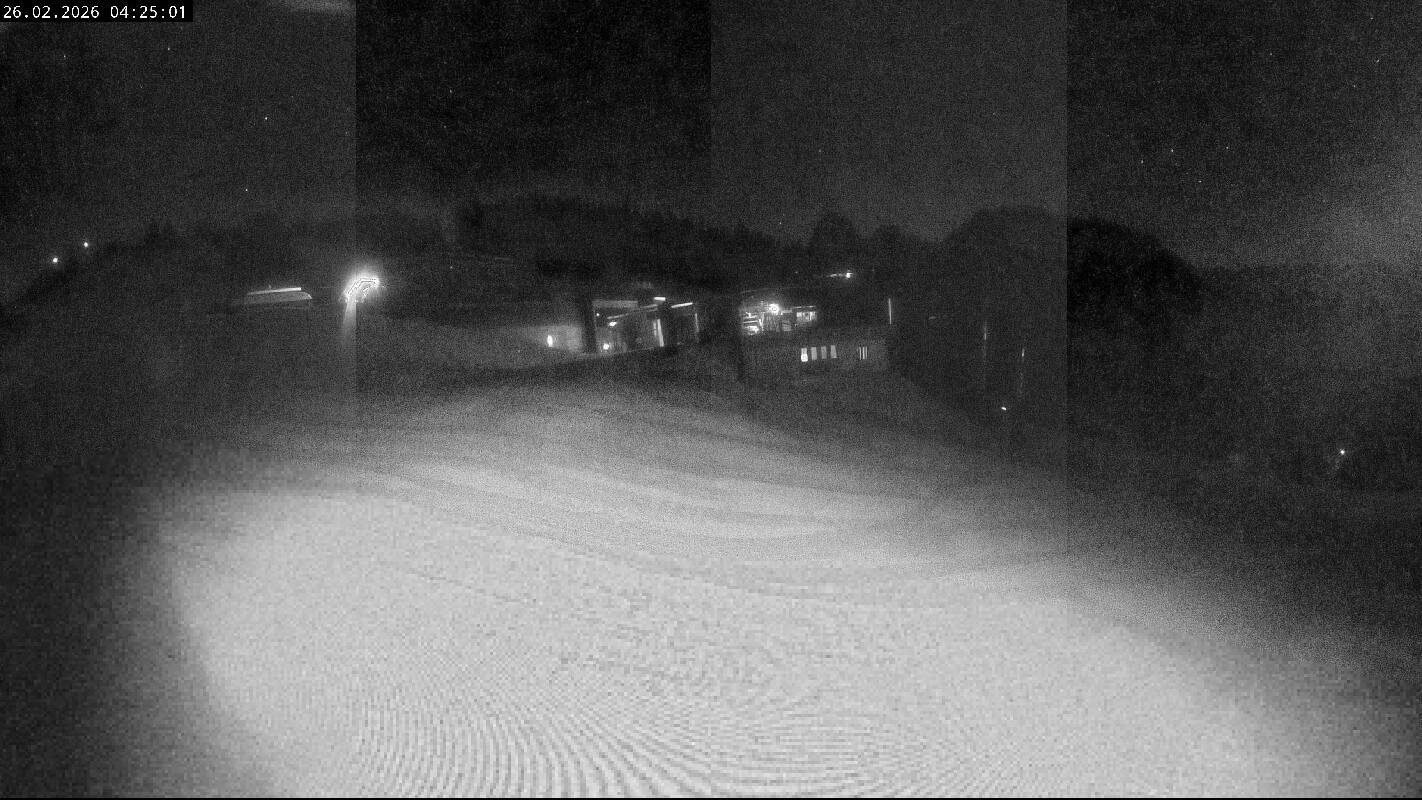 Archiv Foto Webcam Ladurns Gondelbahn Bergstation