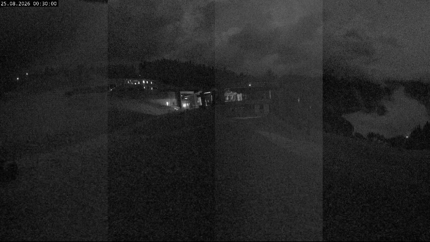 Archiv Foto Webcam Ladurns Gondelbahn Bergstation