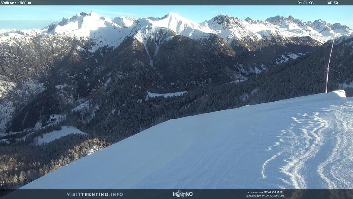 Archiv Foto Webcam Mittelstation Alpe di Lusia, Trentino