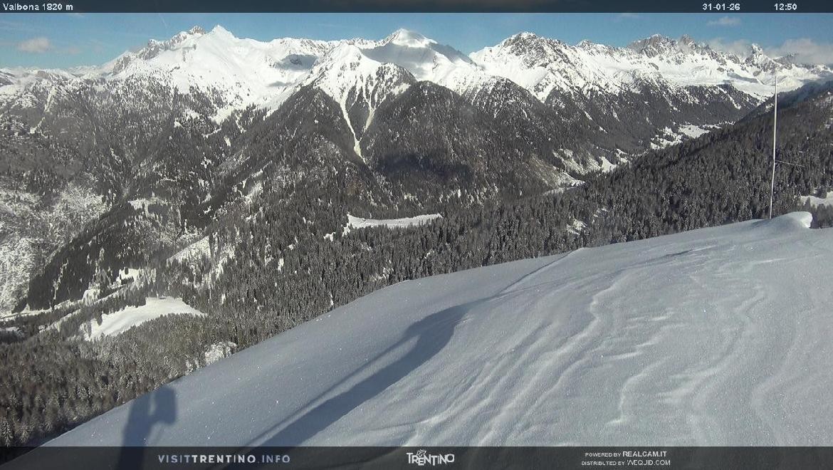 Archiv Foto Webcam Mittelstation Alpe di Lusia, Trentino