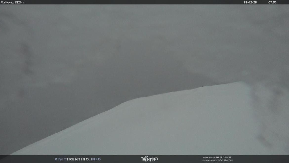 Archiv Foto Webcam Mittelstation Alpe di Lusia, Trentino