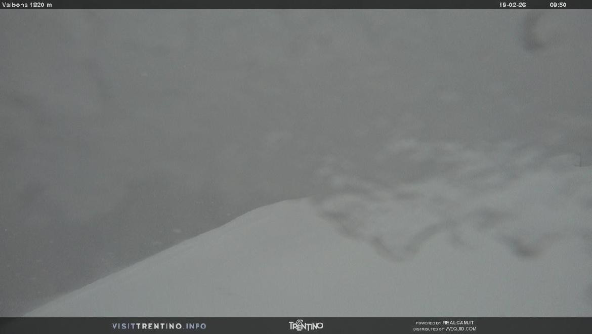 Archiv Foto Webcam Mittelstation Alpe di Lusia, Trentino