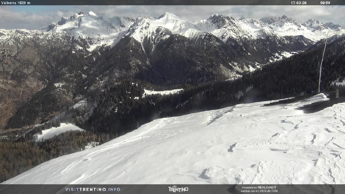 Archiv Foto Webcam Mittelstation Alpe di Lusia, Trentino