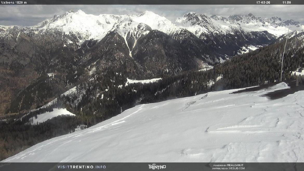 Archiv Foto Webcam Mittelstation Alpe di Lusia, Trentino
