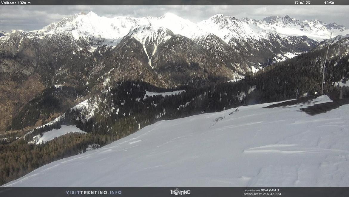 Archiv Foto Webcam Mittelstation Alpe di Lusia, Trentino