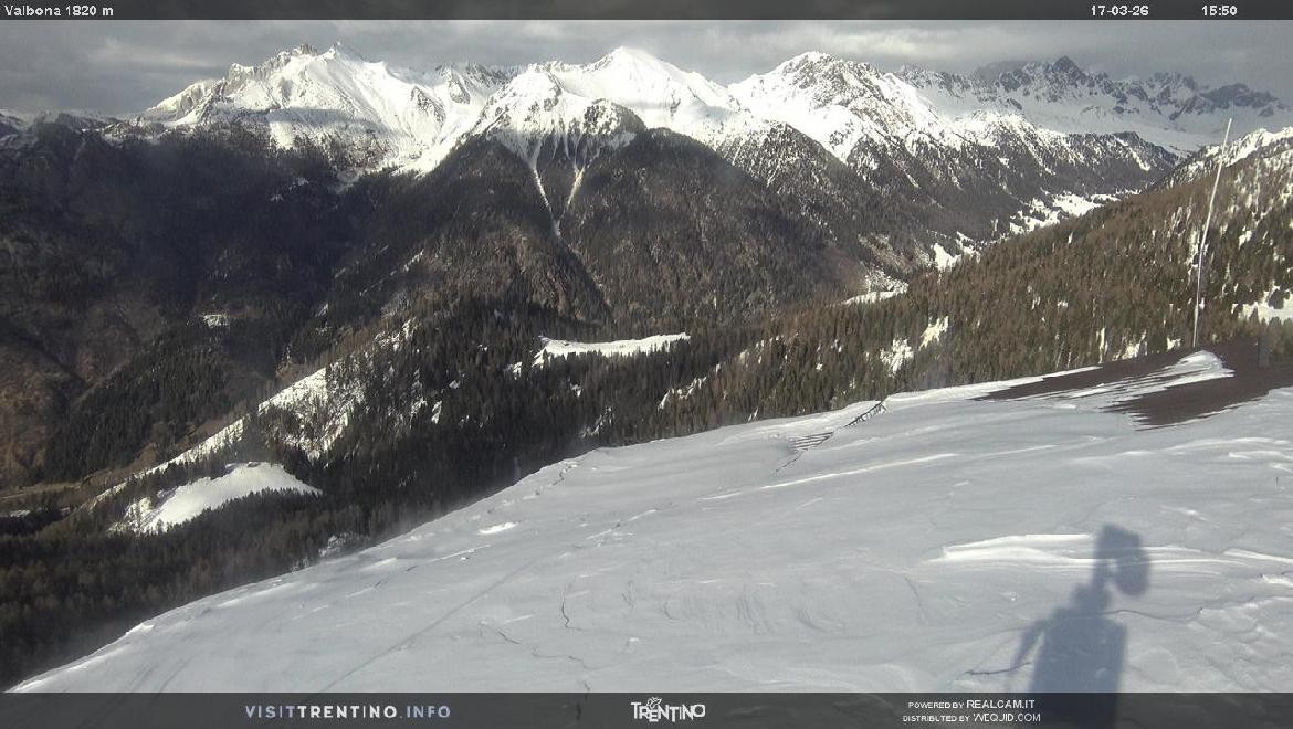 Archiv Foto Webcam Mittelstation Alpe di Lusia, Trentino