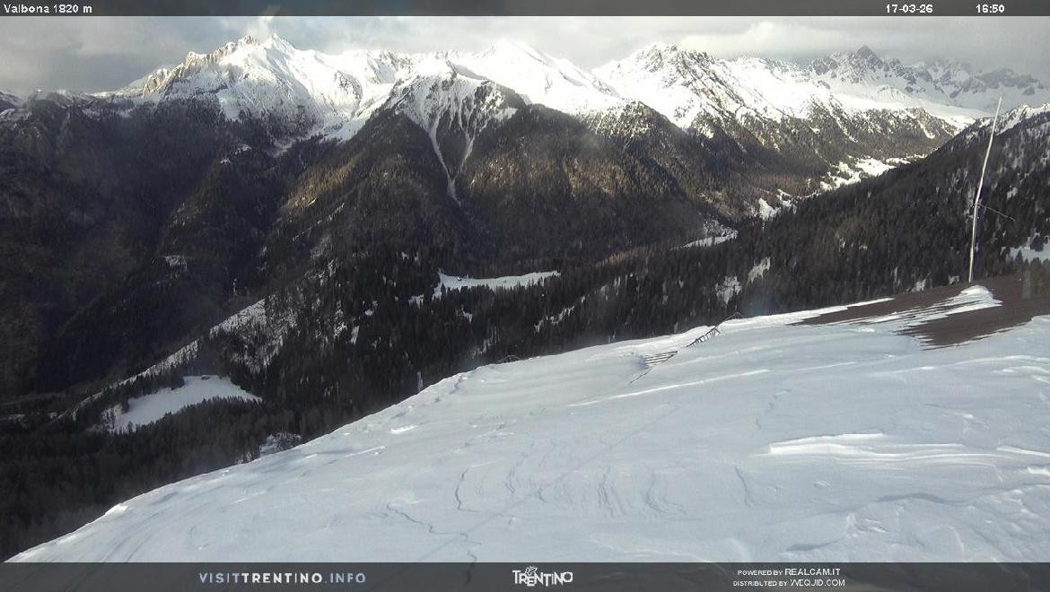 Archiv Foto Webcam Mittelstation Alpe di Lusia, Trentino