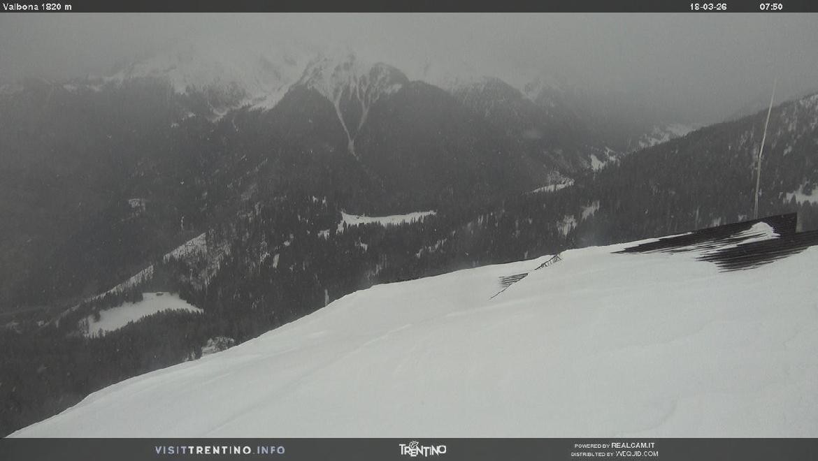 Archiv Foto Webcam Mittelstation Alpe di Lusia, Trentino