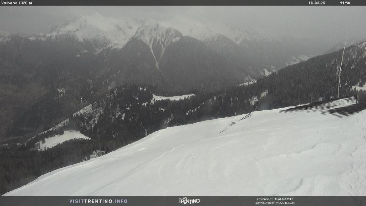 Archiv Foto Webcam Mittelstation Alpe di Lusia, Trentino