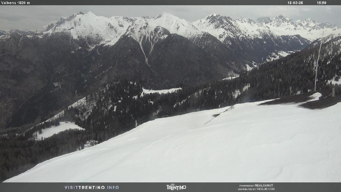 Archiv Foto Webcam Mittelstation Alpe di Lusia, Trentino