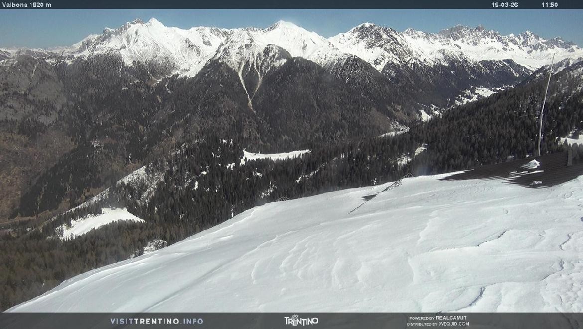 Archiv Foto Webcam Mittelstation Alpe di Lusia, Trentino