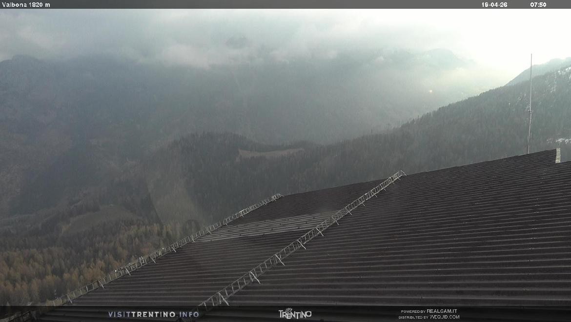 Archiv Foto Webcam Mittelstation Alpe di Lusia, Trentino