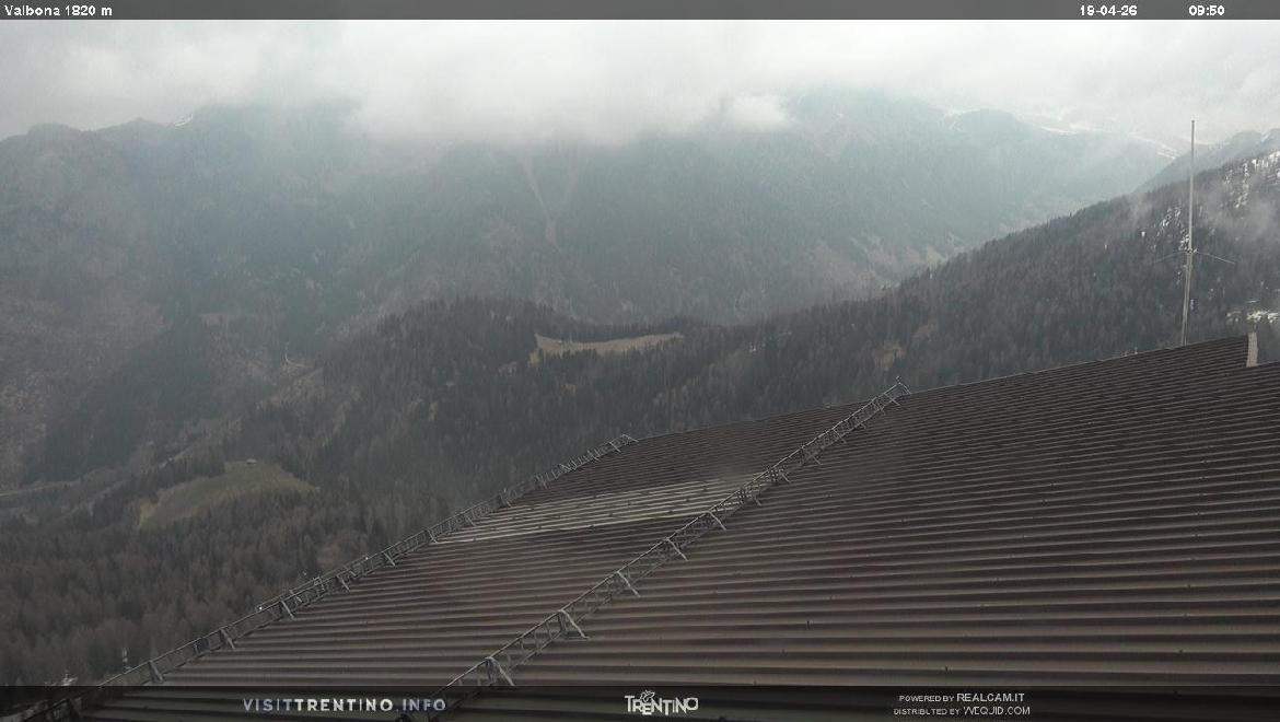 Archiv Foto Webcam Mittelstation Alpe di Lusia, Trentino