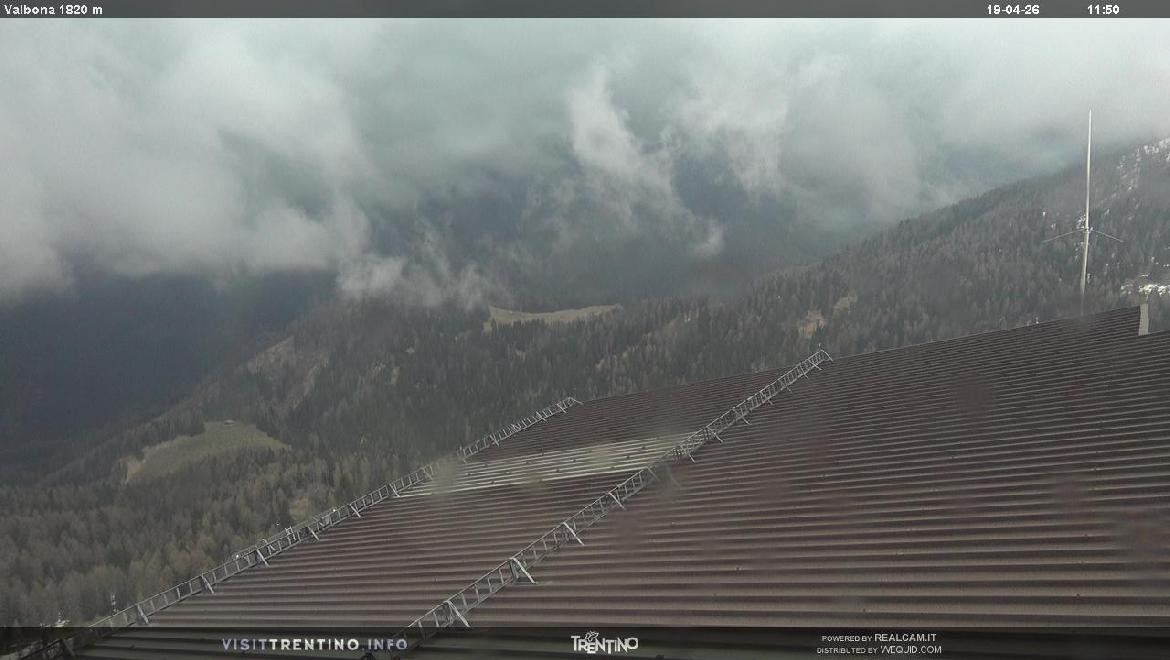 Archiv Foto Webcam Mittelstation Alpe di Lusia, Trentino
