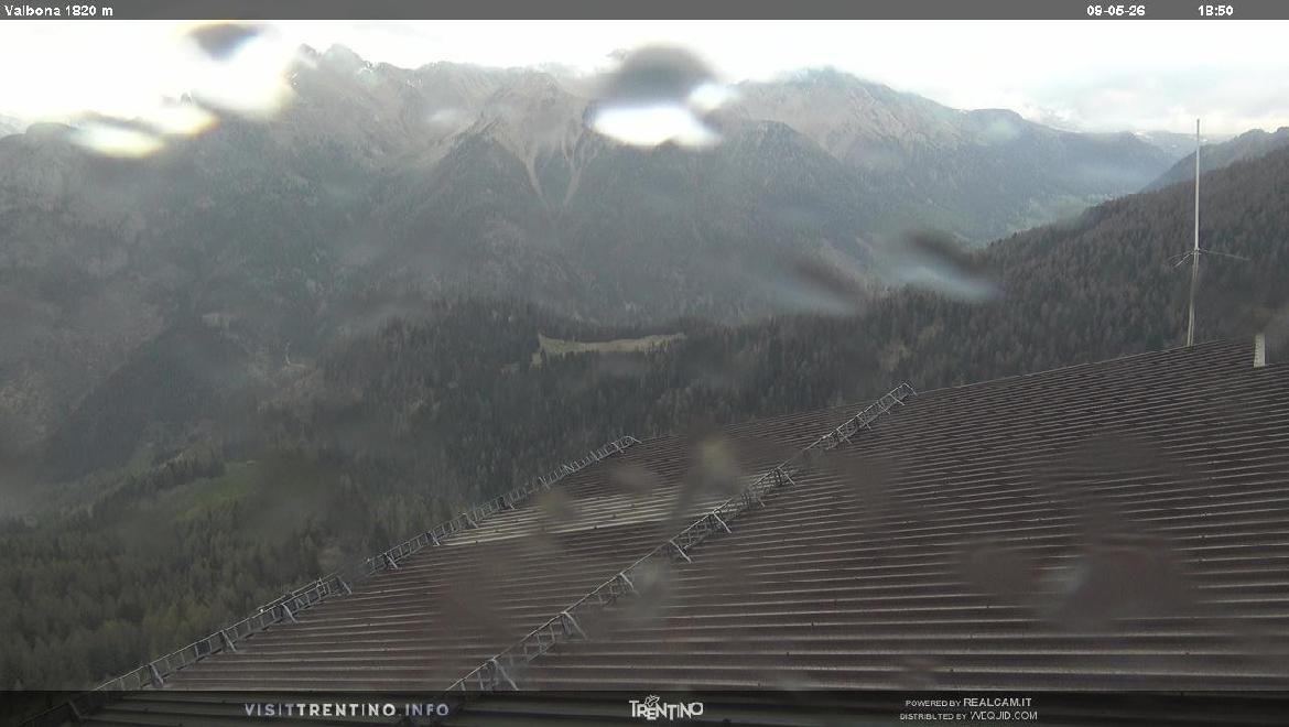 Archiv Foto Webcam Mittelstation Alpe di Lusia, Trentino