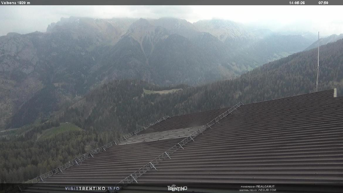 Archiv Foto Webcam Mittelstation Alpe di Lusia, Trentino