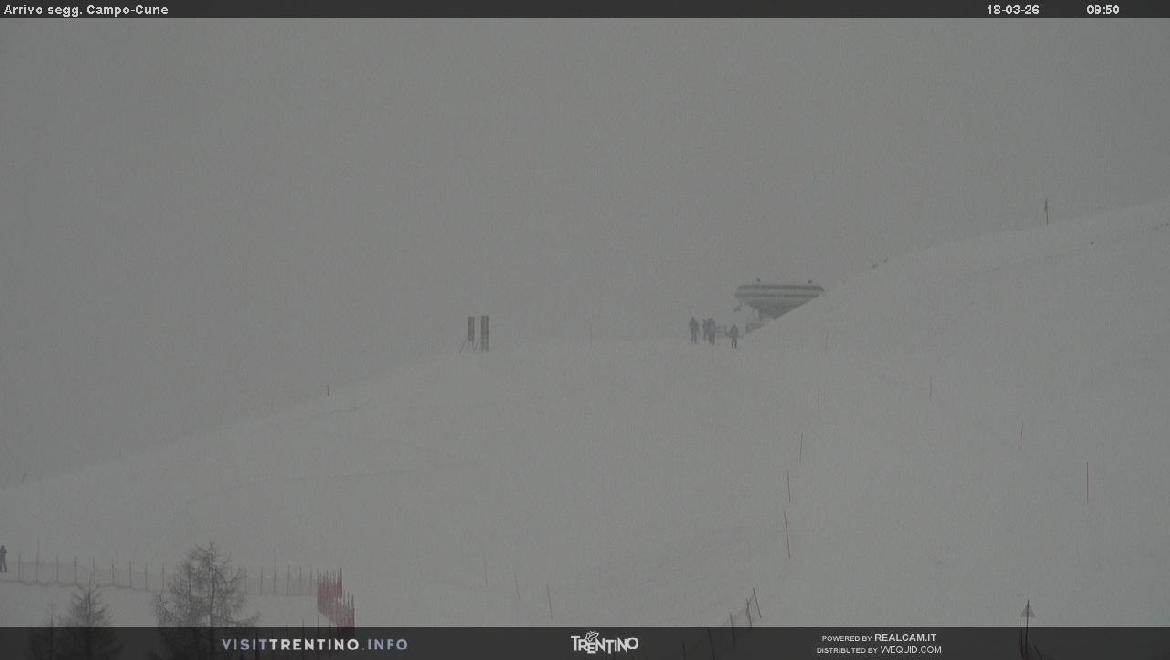 Archiv Foto Webcam Bergstation Campo-Cune, Trentino