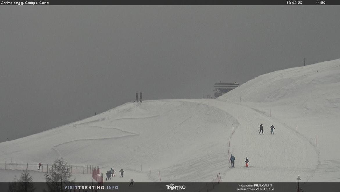 Archiv Foto Webcam Bergstation Campo-Cune, Trentino