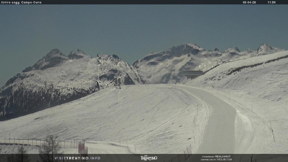 Archiv Foto Webcam Bergstation Campo-Cune, Trentino