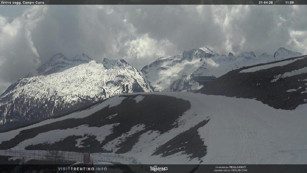 Archiv Foto Webcam Bergstation Campo-Cune, Trentino