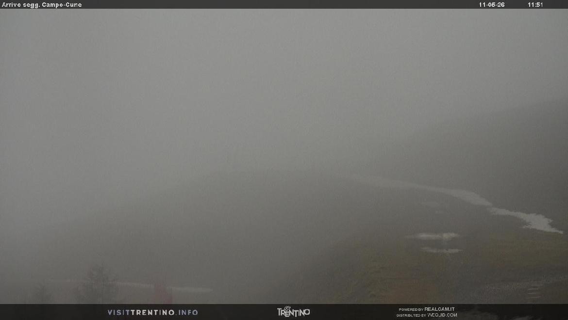 Archiv Foto Webcam Bergstation Campo-Cune, Trentino