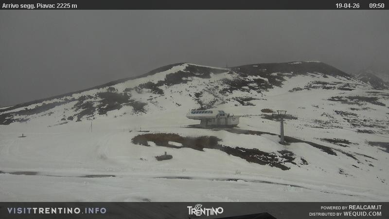 Archiv Foto Webcam Seggiovia Piavac 2225m ü.NN.