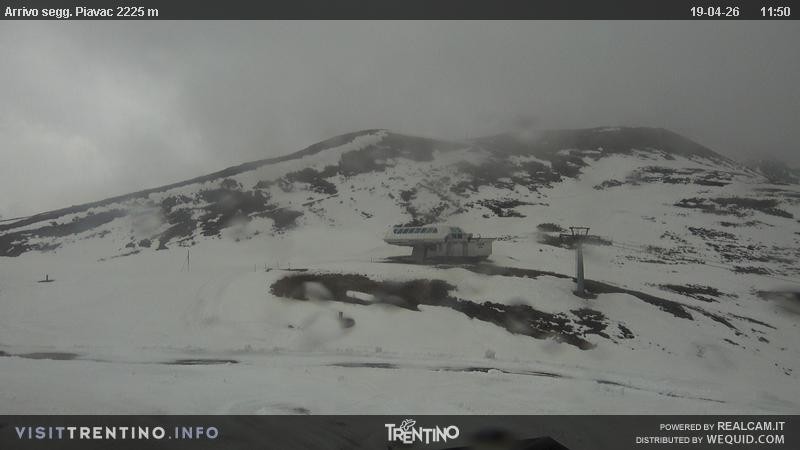 Archiv Foto Webcam Seggiovia Piavac 2225m ü.NN.