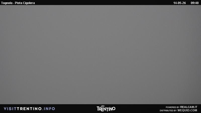 Archived image Webcam Tognola - Pista Cigolera