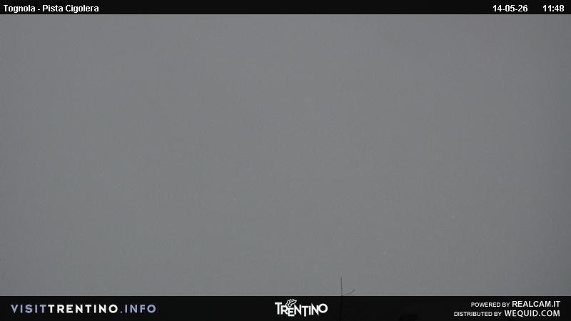 Archived image Webcam Tognola - Pista Cigolera