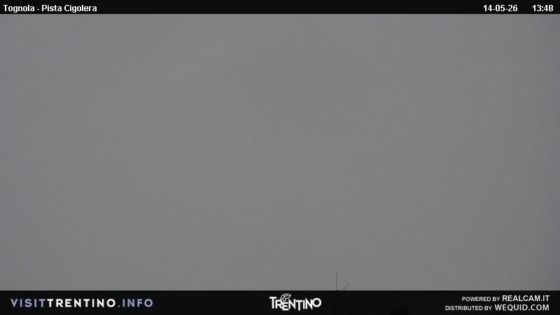 Archived image Webcam Tognola - Pista Cigolera