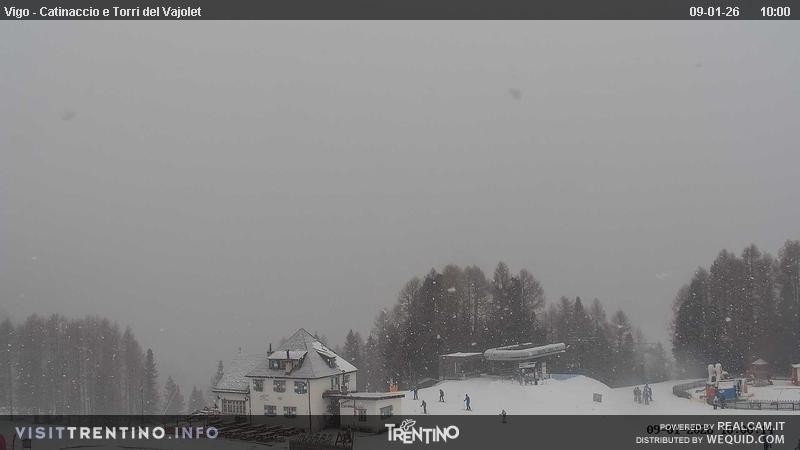 Archiv Foto Webcam Gardeccia-Mulde