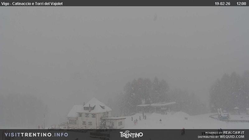 Archiv Foto Webcam Gardeccia-Mulde