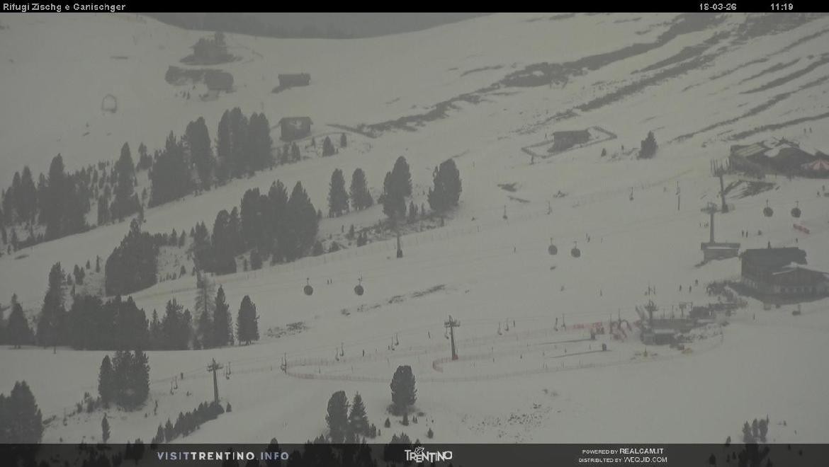 Archived image Webcam Val di Fiemme Rifugi Zisch