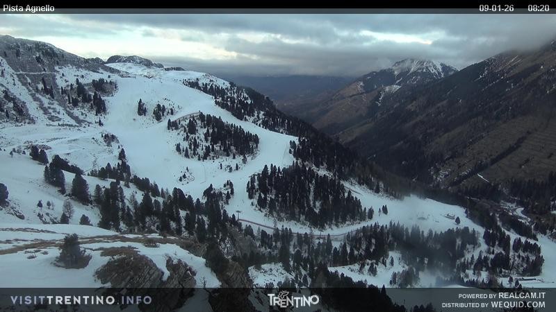 Archiv Foto Webcam Val di Fiemme Agnello