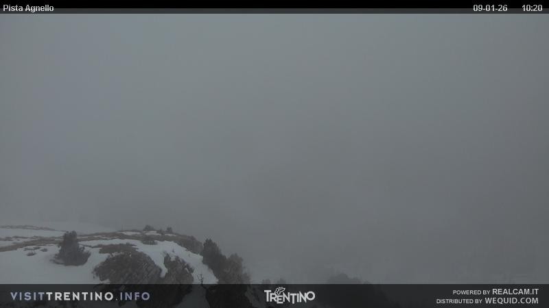Archiv Foto Webcam Val di Fiemme Agnello