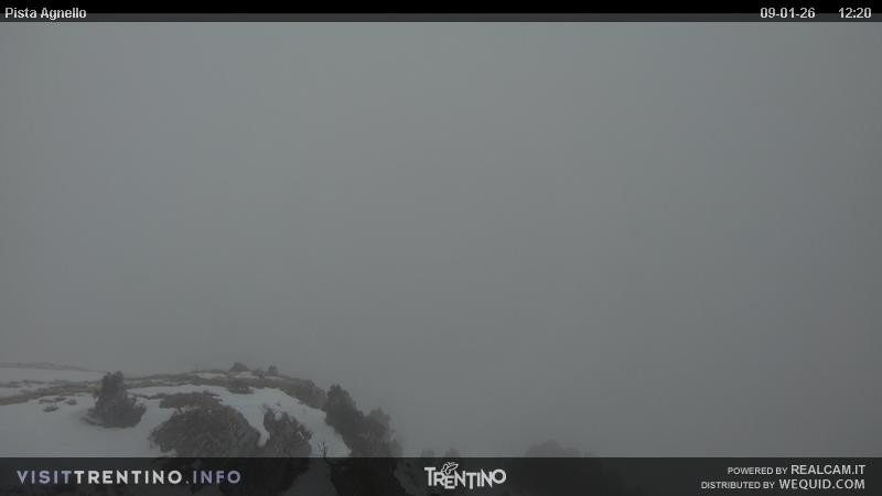 Archiv Foto Webcam Val di Fiemme Agnello