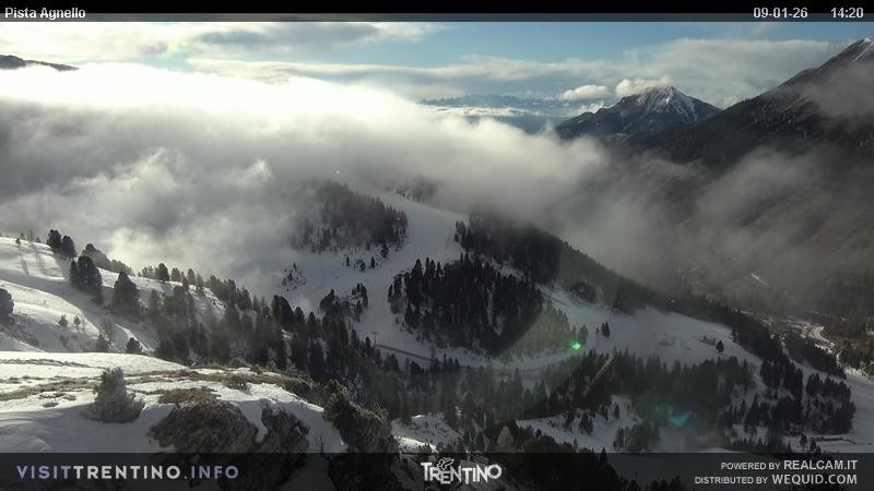 Archiv Foto Webcam Val di Fiemme Agnello
